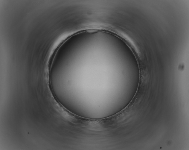 X0000096971472200803070954