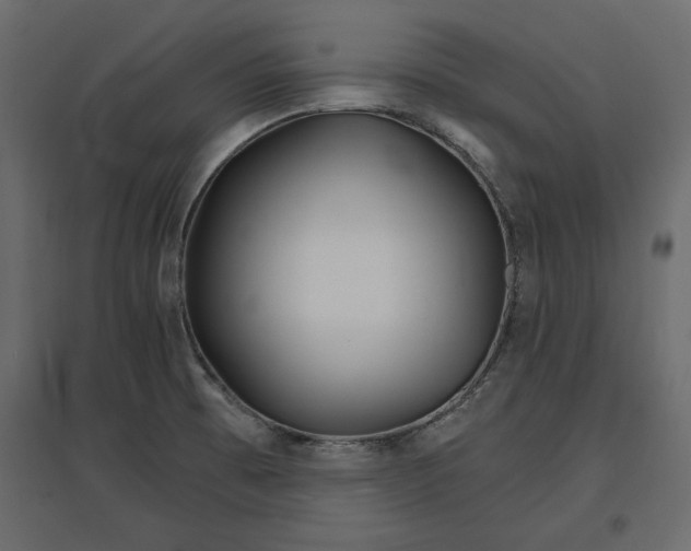 X0000096971473200803070954