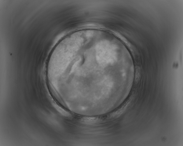 X0000096971474200803070954