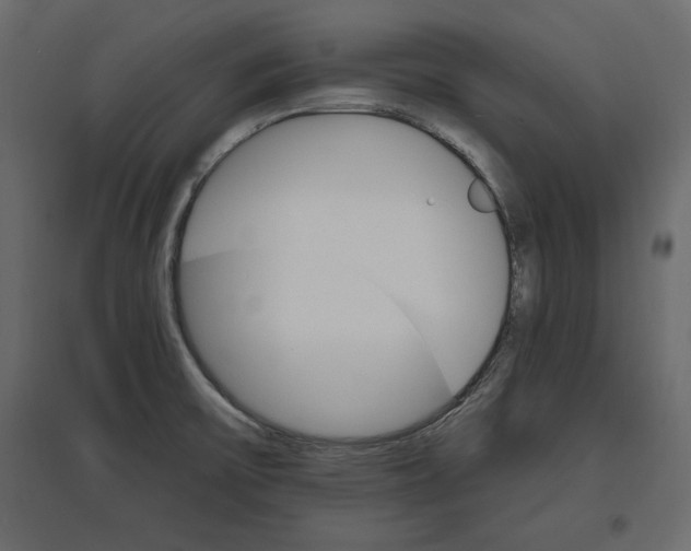 X0000096971475200803070954