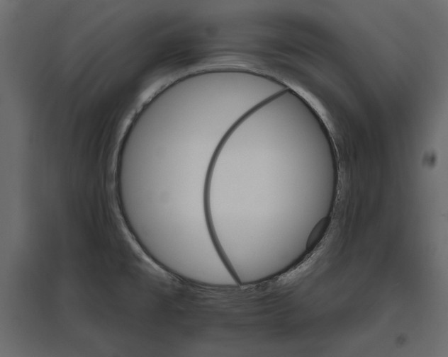 X0000096971477200803070954