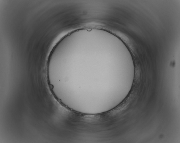 X0000096971478200803070954