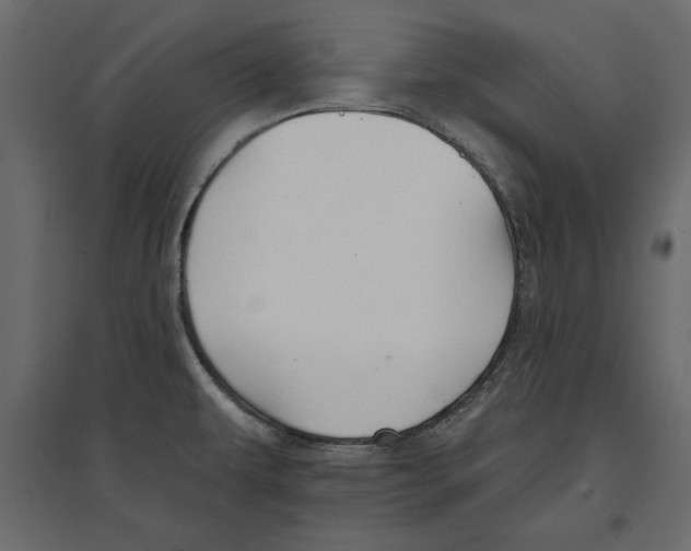 X0000096971479200803070954