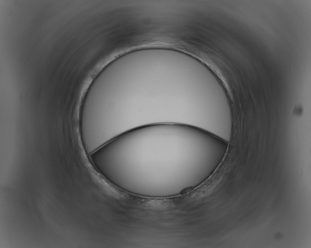 X0000096971480200803070954