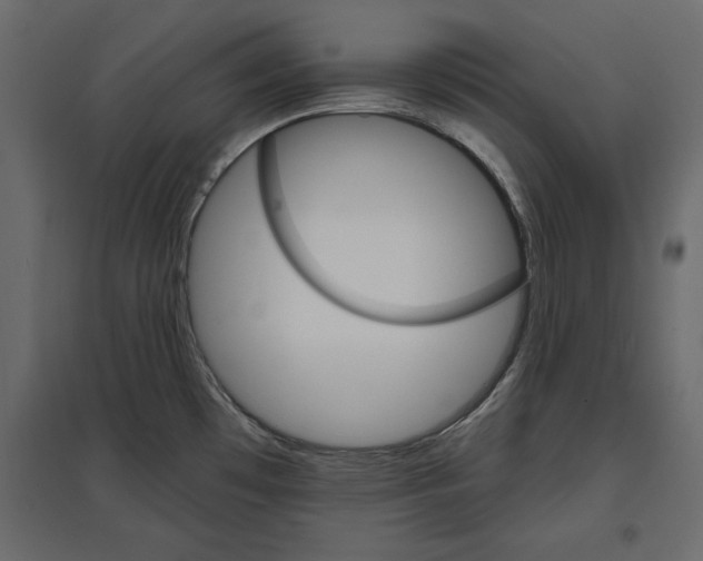 X0000096971481200803070954