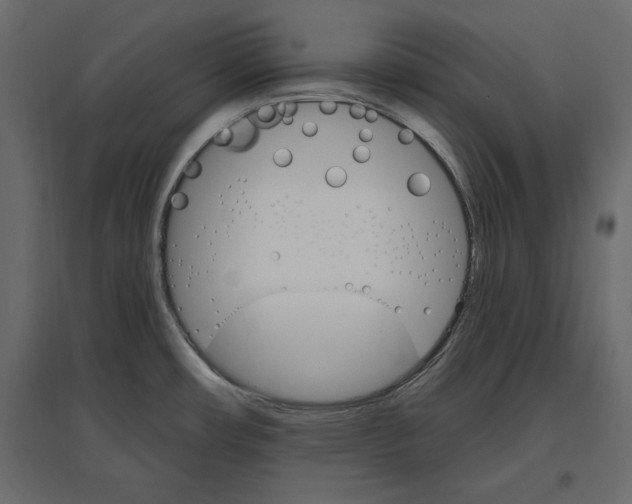 X0000096971482200803070954