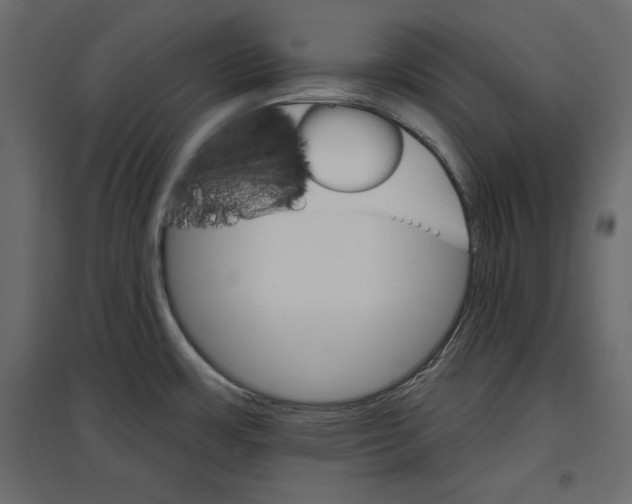 X0000096971483200803070954