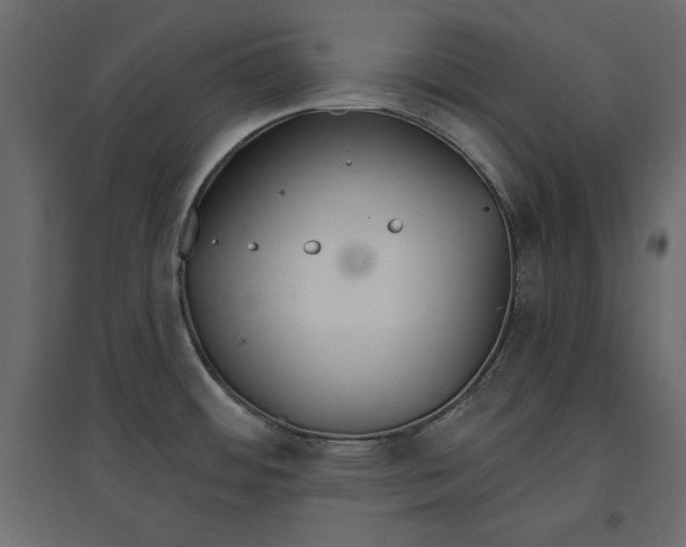 X0000096971484200803070954