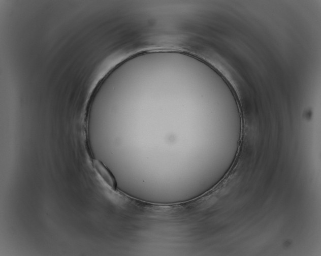 X0000096971485200803070954