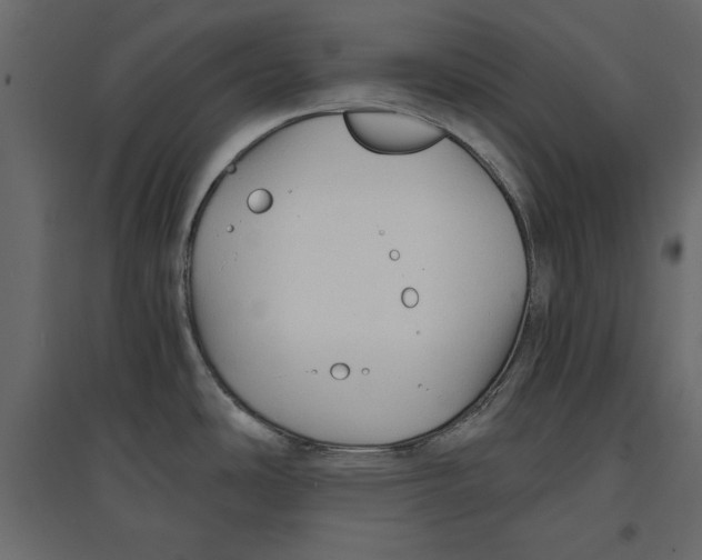 X0000096971486200803070954