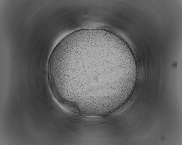 X0000096971487200803070954