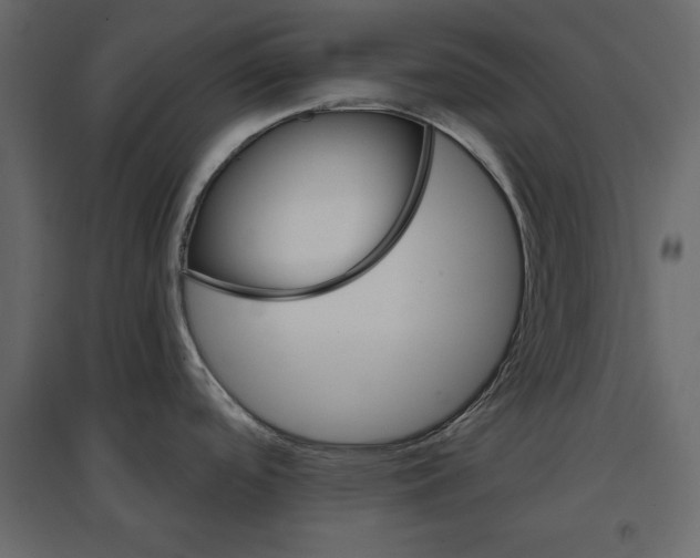 X0000096971488200803070954