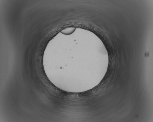 X0000096971489200803070953