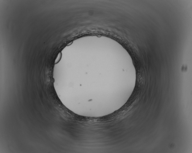 X0000096971490200803070953