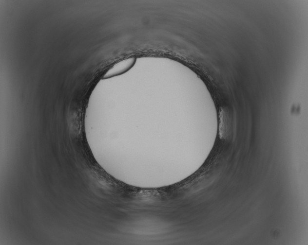 X0000096971491200803070953