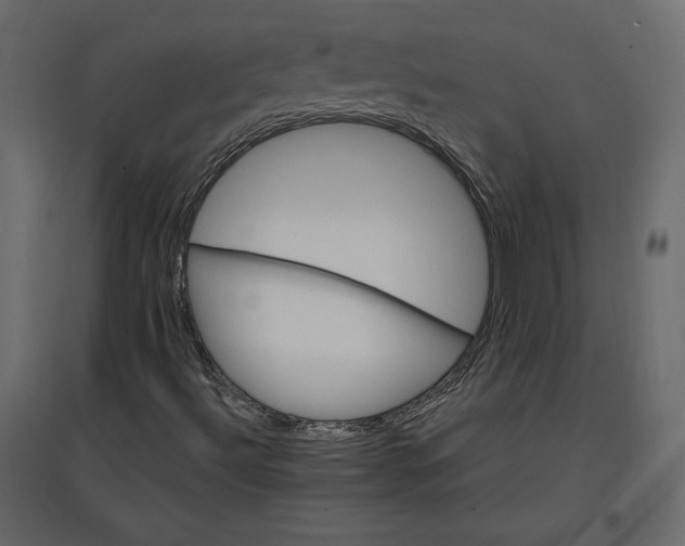 X0000096971492200803070953