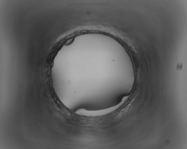 X0000096971494200803070954