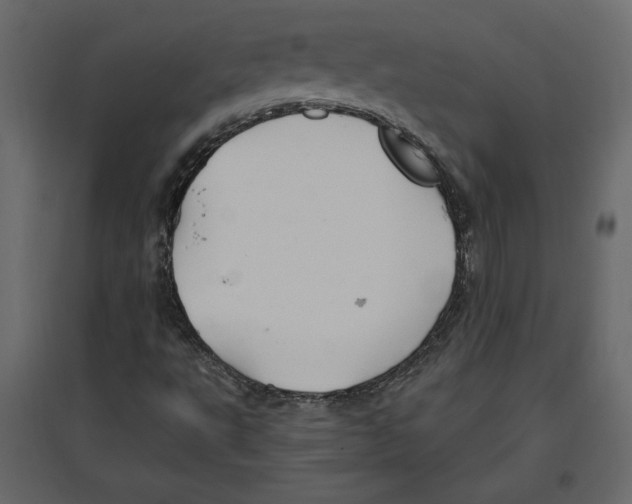 X0000096971495200803070954