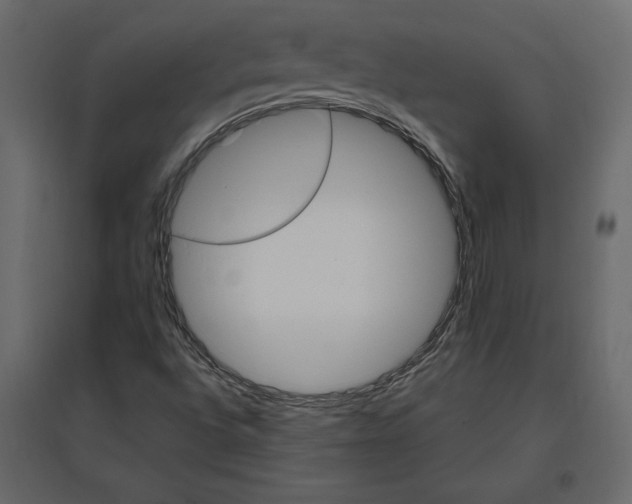 X0000096971496200803070954