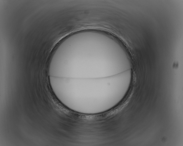 X0000096971497200803070954