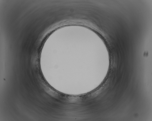 X0000096971498200803070954