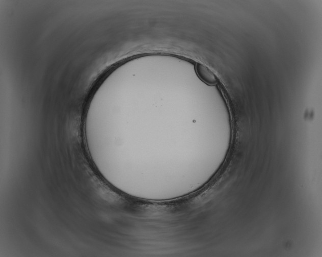 X0000096971499200803070954