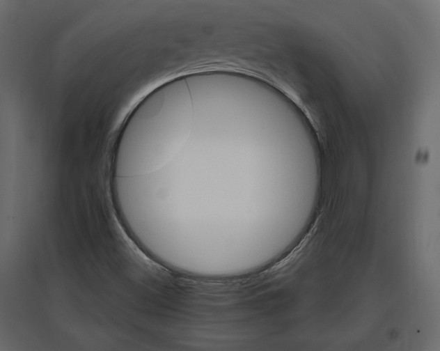 X0000096971500200803070954