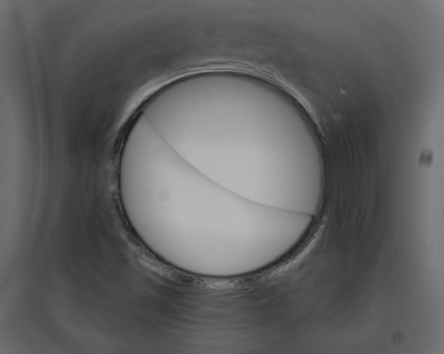 X0000096971501200803070954