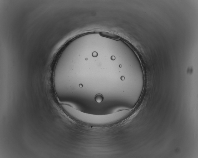 X0000096971502200803070954