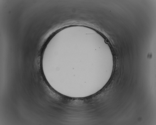 X0000096971503200803070954