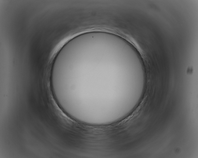 X0000096971504200803070954