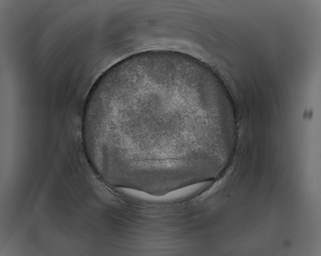 X0000096971505200803070954