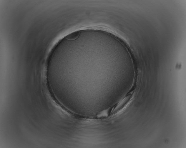 X0000096971506200803070954