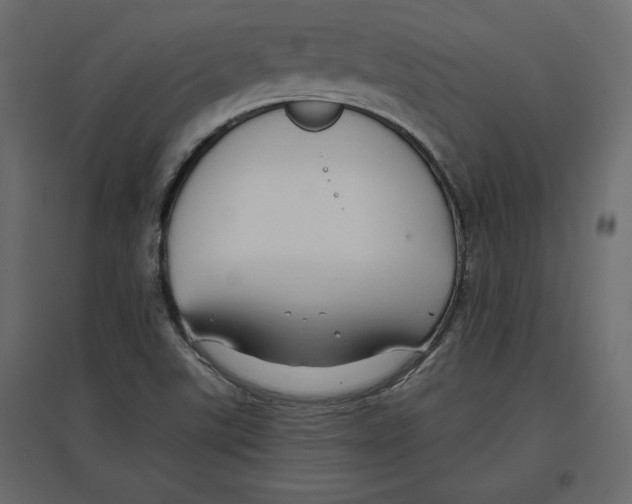 X0000096971507200803070954