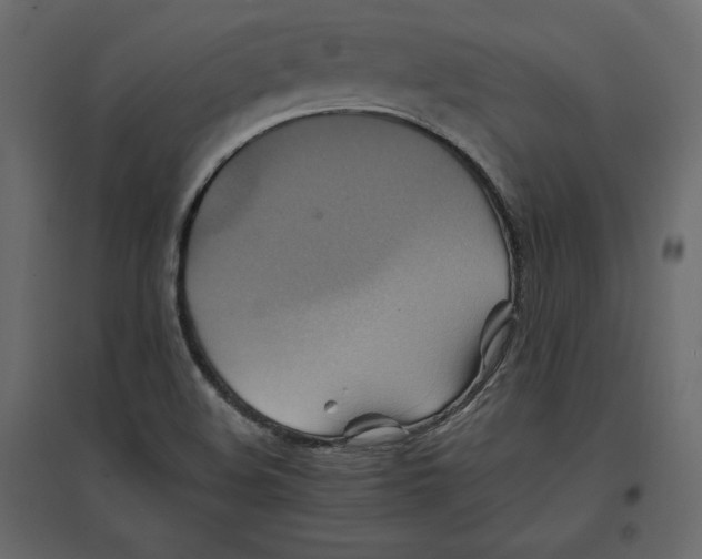 X0000096971508200803070954