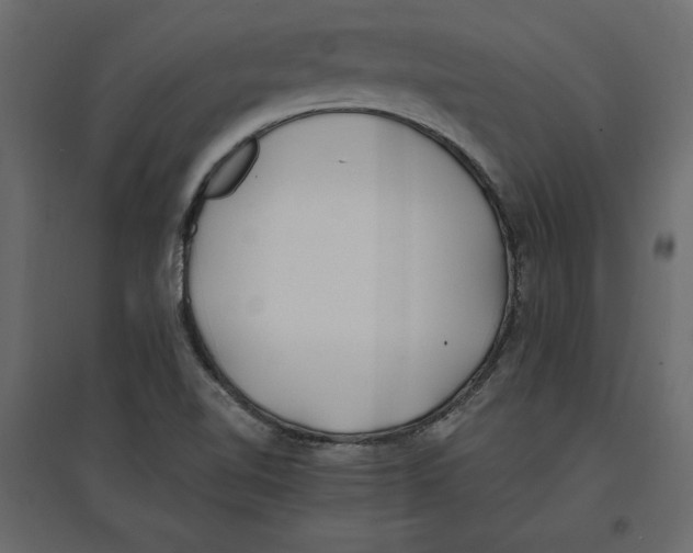 X0000096971510200803070954