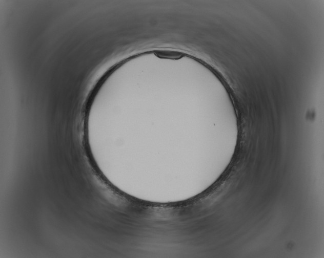 X0000096971511200803070954