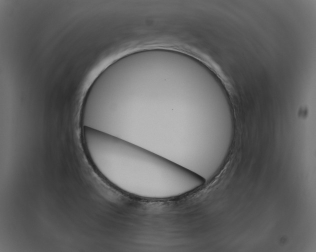 X0000096971512200803070954