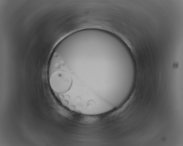 X0000096971513200803070954