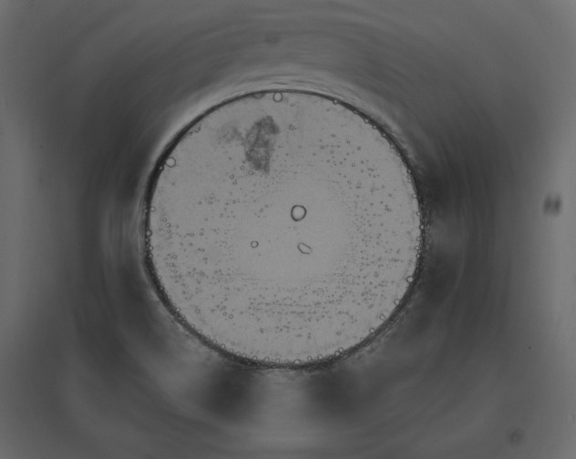 X0000096971514200803070954