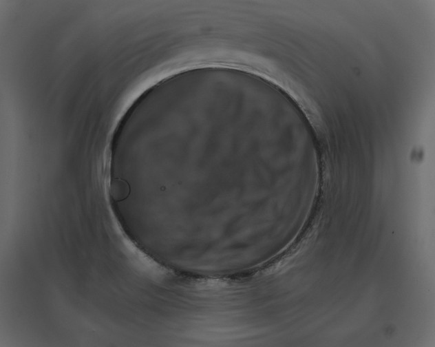 X0000096971515200803070954