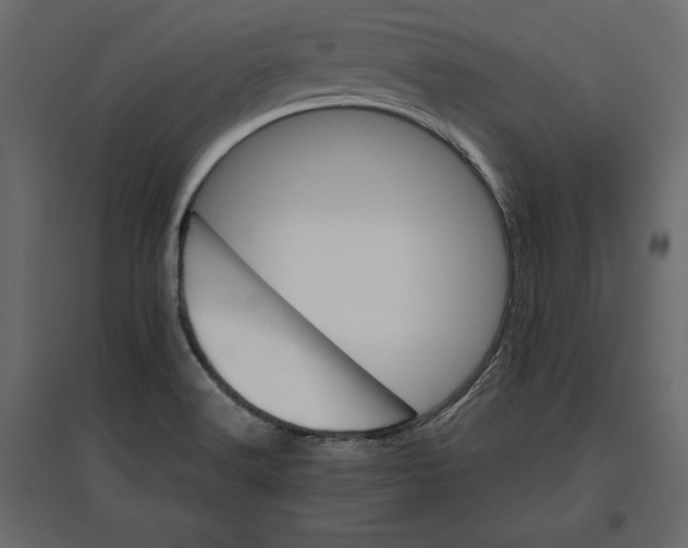 X0000096971516200803070954