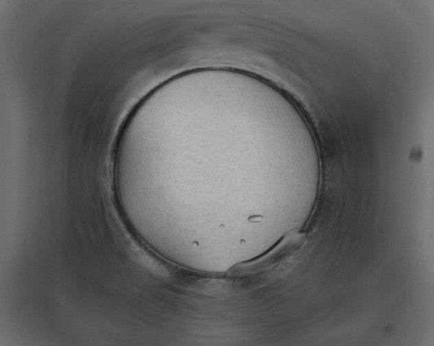 X0000096971517200803070954