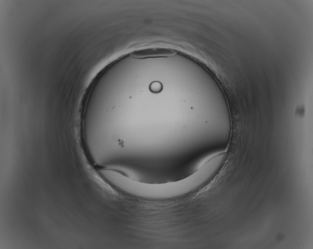 X0000096971518200803070954