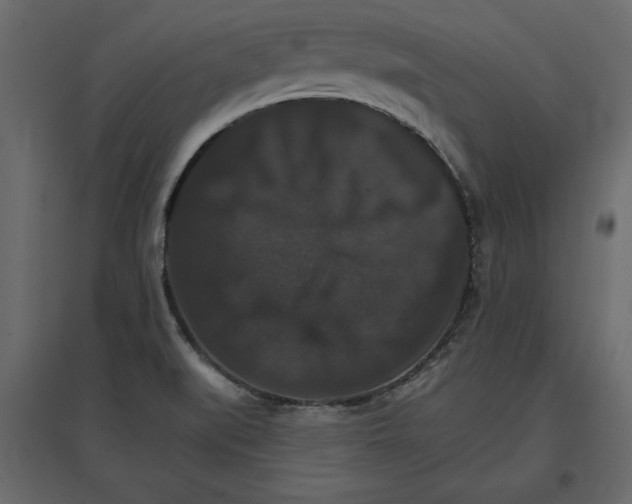 X0000096971519200803070954