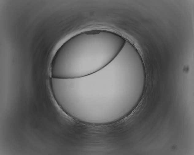 X0000096971520200803070954