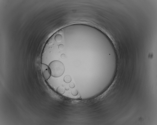 X0000096971521200803070954