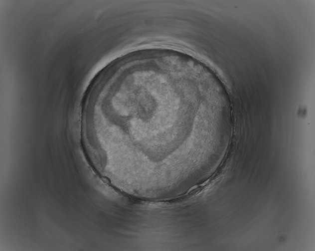 X0000096971522200803070954