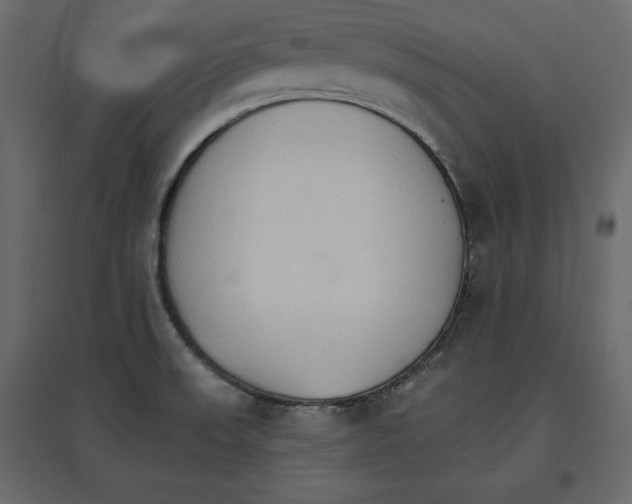 X0000096971523200803070954