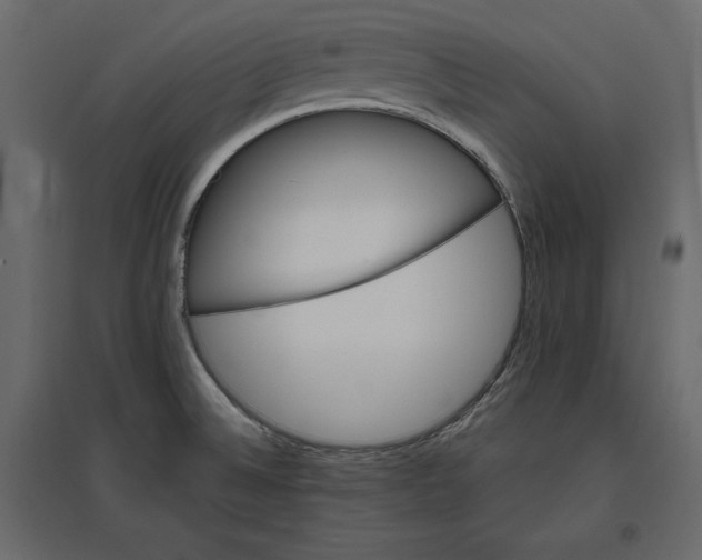 X0000096971524200803070954